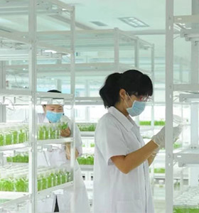 91看片软件免费仪器