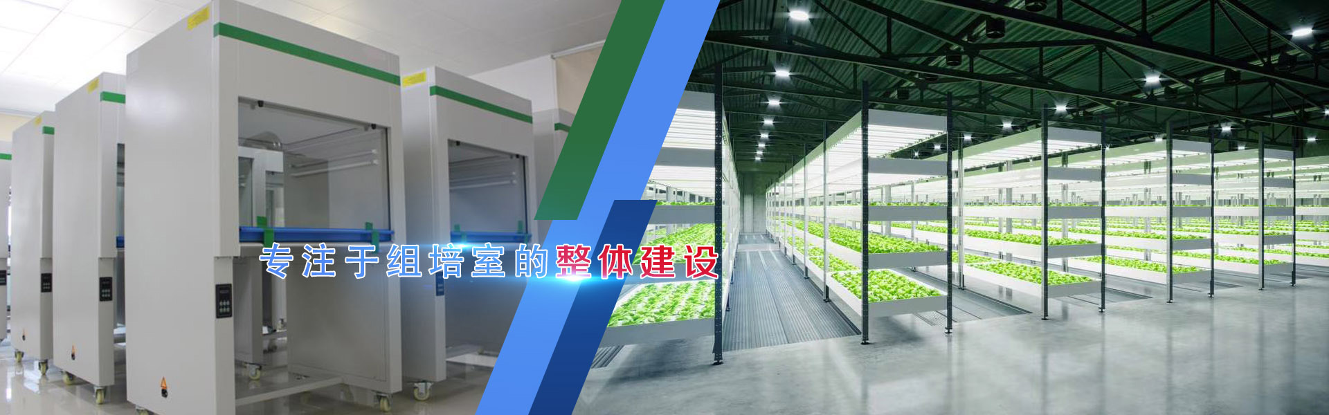 91看片软件免费、91看片软件免费架