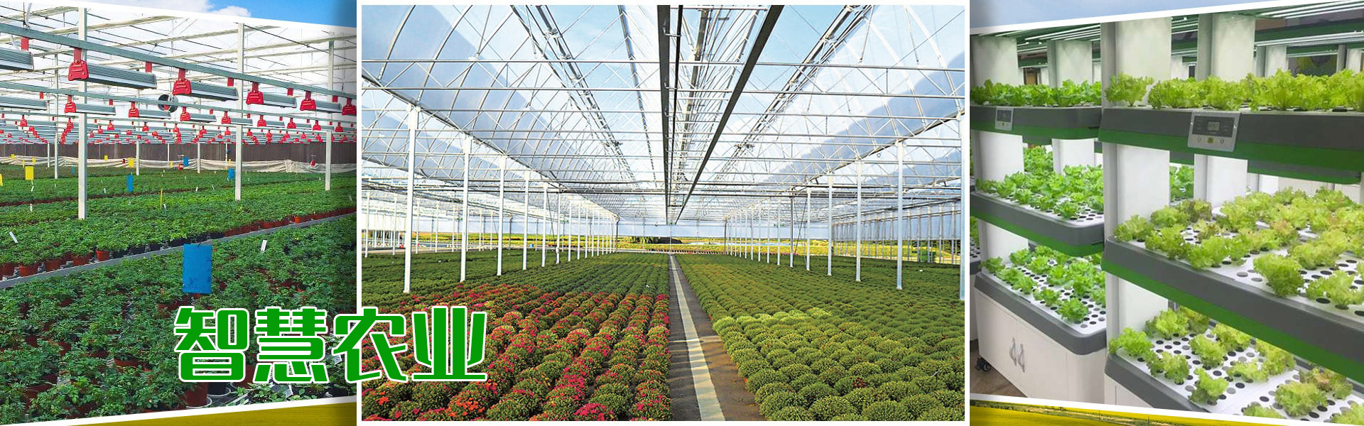 91看片软件免费、91看片软件免费架