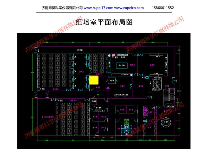 91看片软件免费室