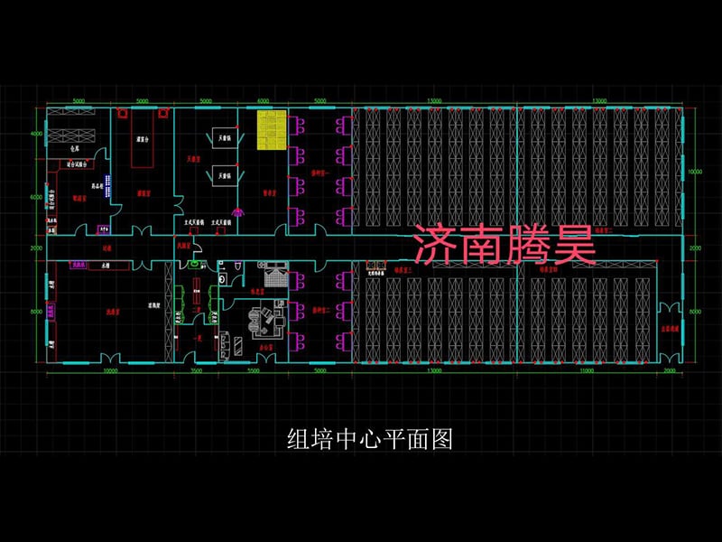 900平米91看片软件免费室平面设计图