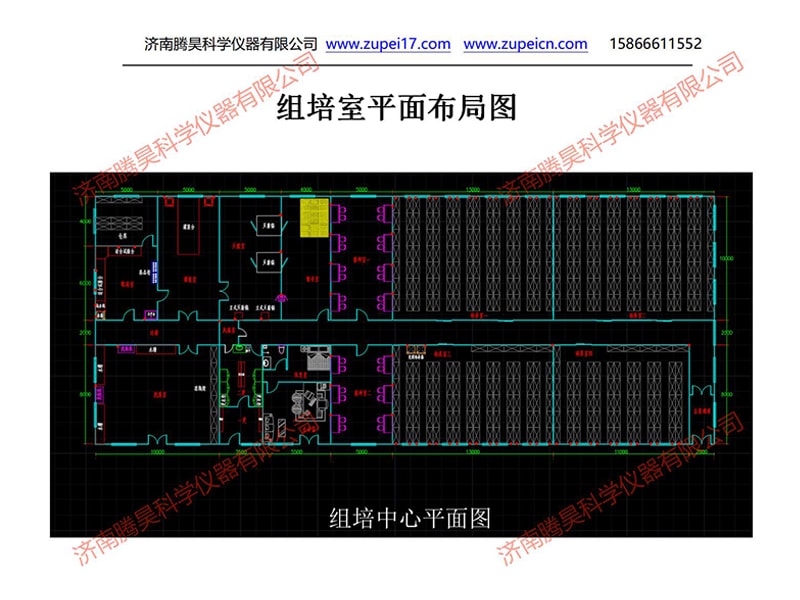 91看片软件免费  91看片软件免费室