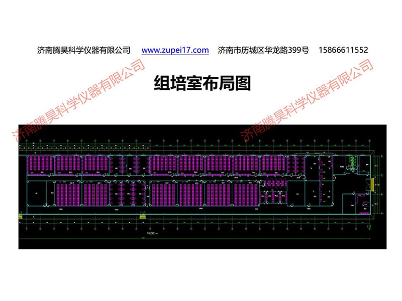 兰州新区91看片软件免费室设计图
