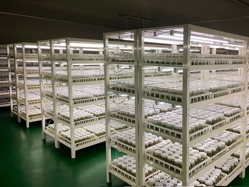 91看片软件免费  91看片软件免费架
