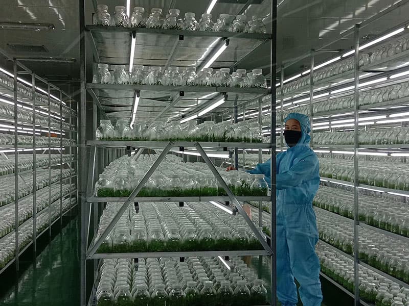 插扣式91看片软件免费架