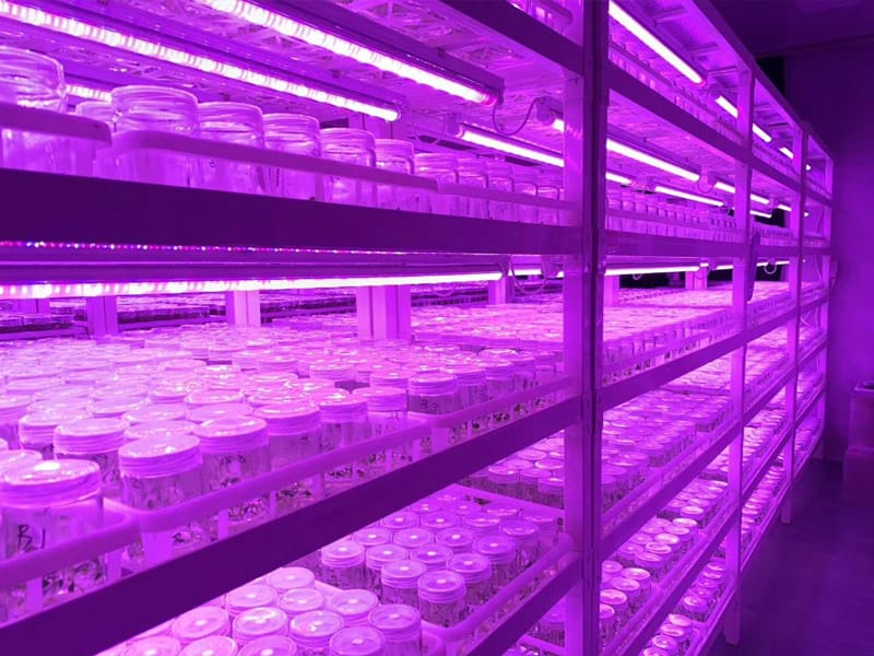 插扣式91看片软件免费架