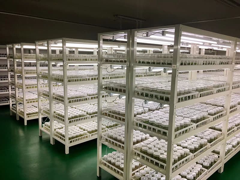 带91看片软件免费筐培养架