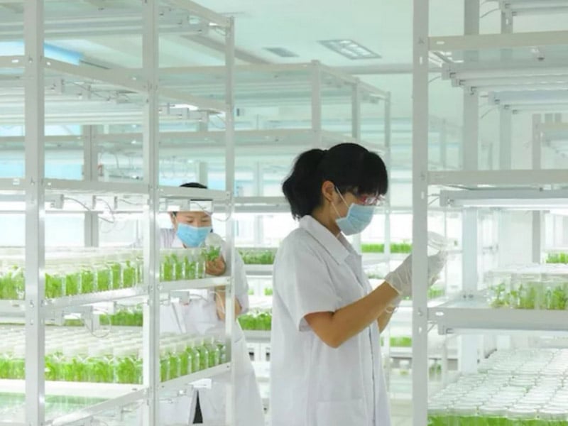 91看片软件免费  91看片软件免费架