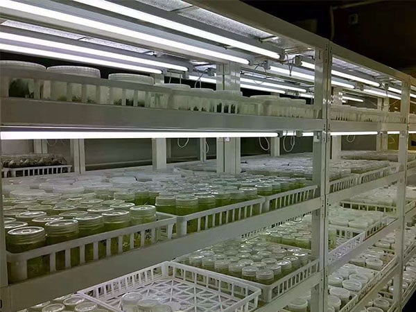 91看片免费看黄片LED91看片软件免费架产品