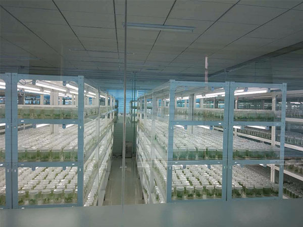 91看片免费看黄片培养架的产品特性