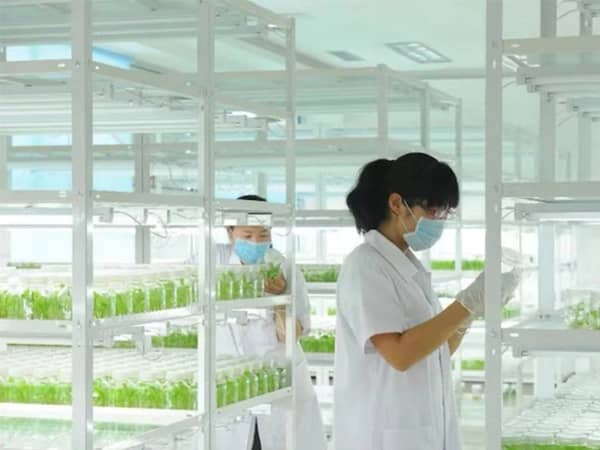 91看片免费看黄片91看片软件免费架产品参数