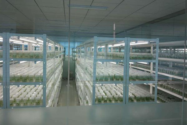 91看片软件免费室应具备哪些条件