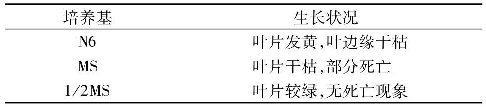 91看片软件免费架