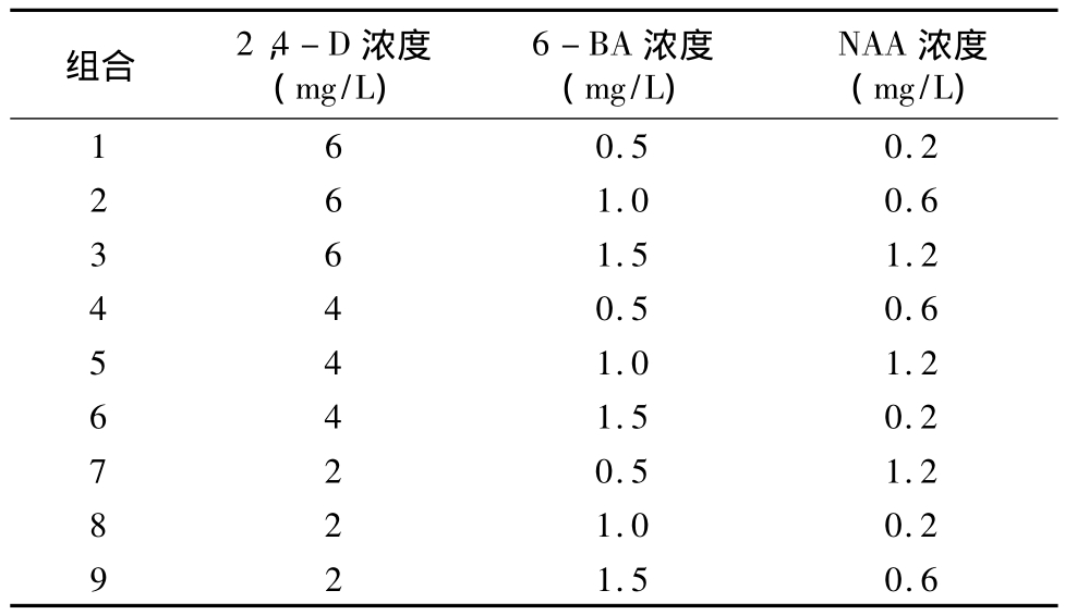 柳枝稷种子91看片软件免费快繁技术
