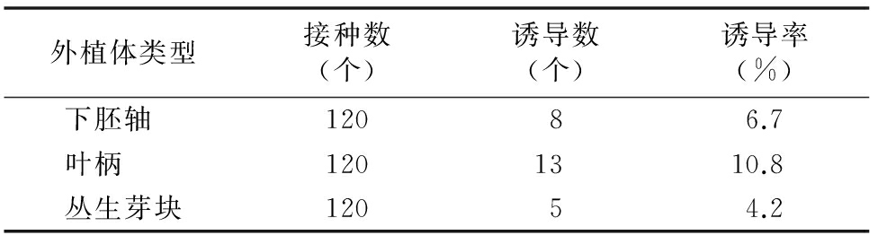 甜菜雄性不育系高效91看片软件免费再生体系的建立