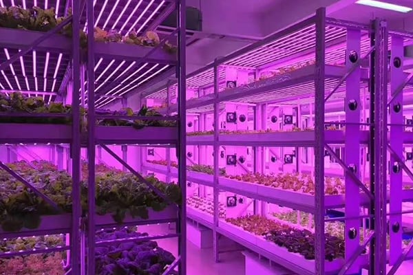 91看片软件免费光照的需求指标