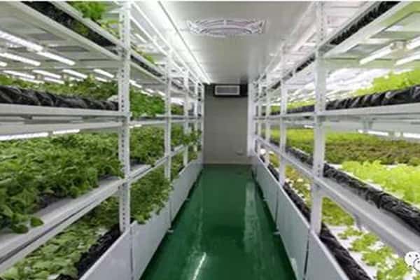 91看片软件免费生产中常见问题及应对措施