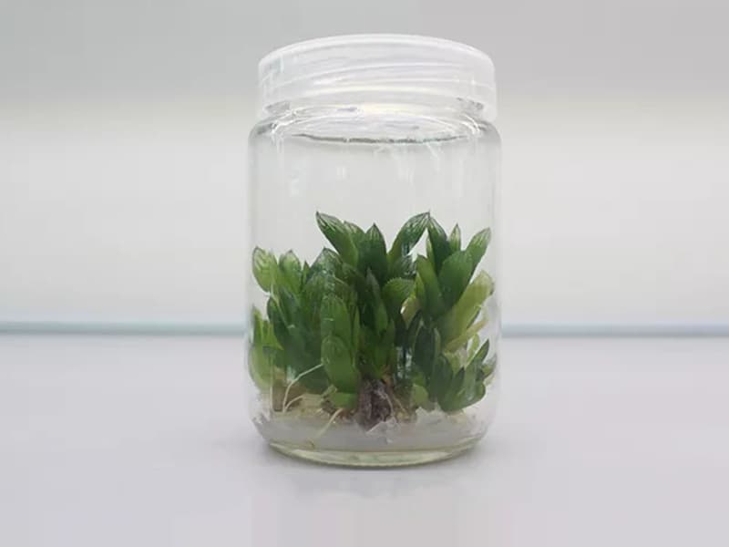 91看片软件免费瓶