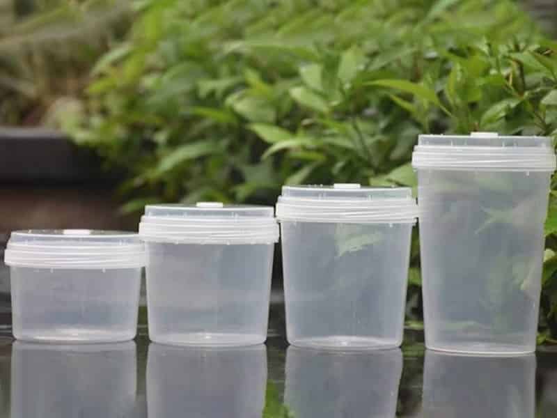 91看片软件免费瓶