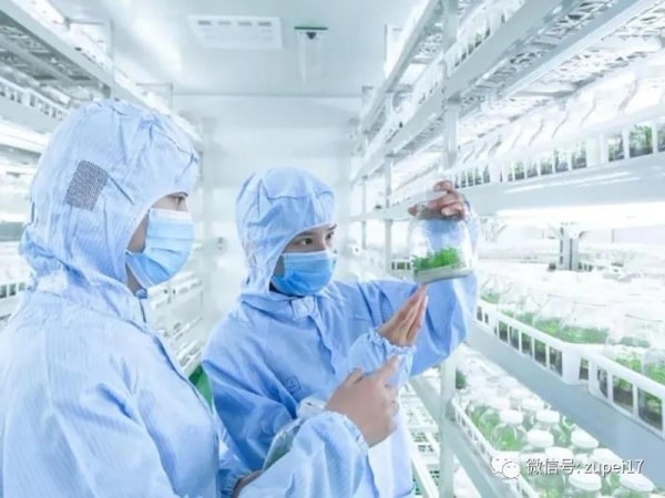 91看片软件免费室建设之前应该做哪些准备？