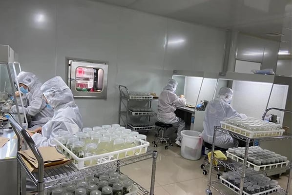 91看片软件免费工厂设计建设的注意事项