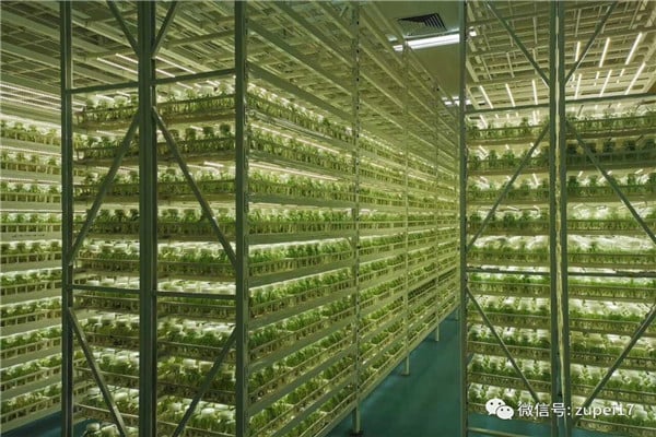 91看片软件免费仪器设备&mdash;&mdash;卧式矩形灭菌器