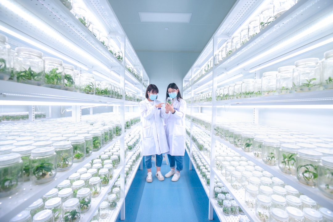 91看片软件免费架，培养架，光照培养架