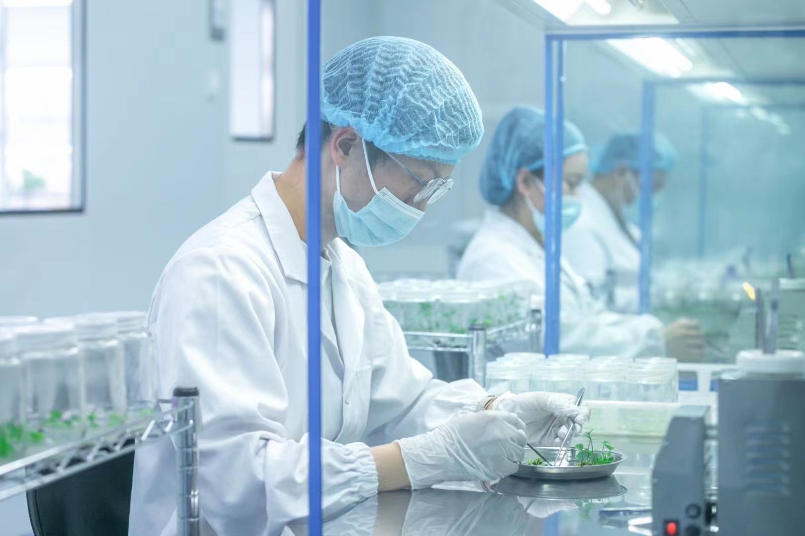 灭菌器  91看片软件免费灭菌锅  高压灭菌设备