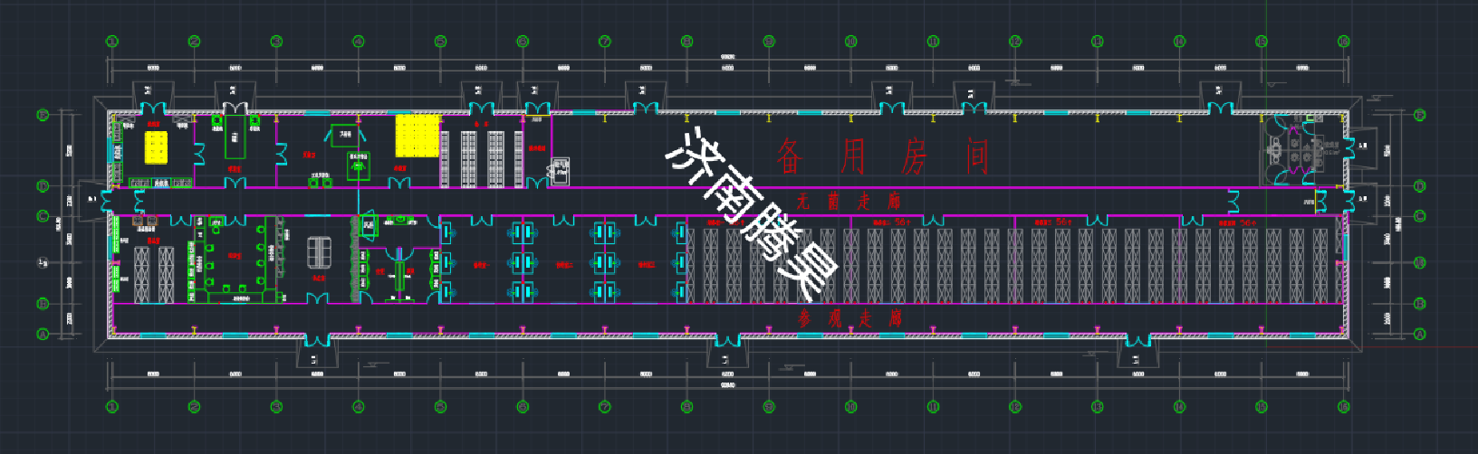 新疆喀什 800㎡ 沙棘91看片软件免费室