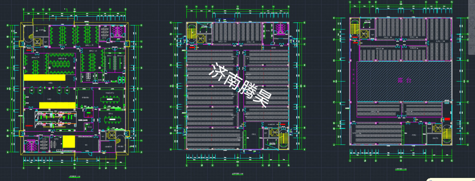 山东东营 5000㎡ 蝴蝶兰91看片软件免费室