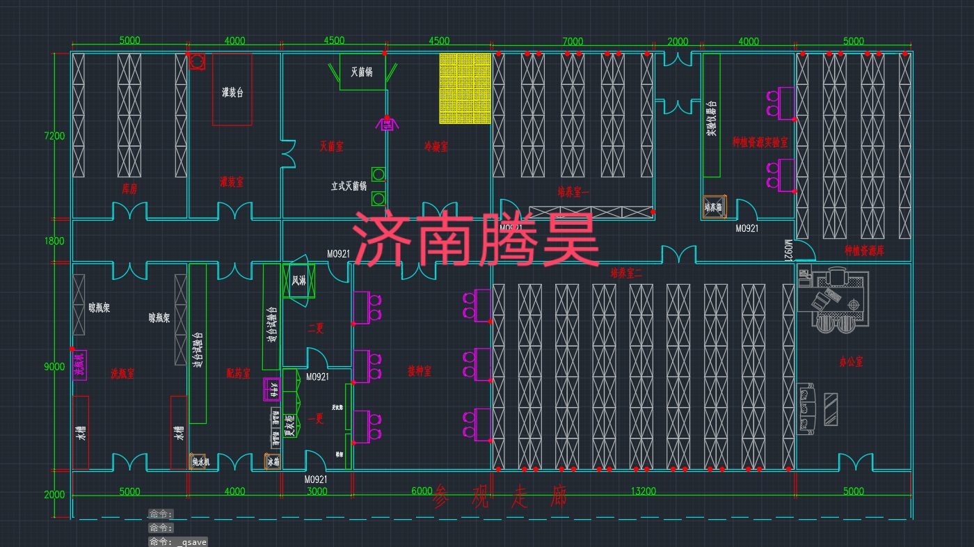 云南红河 450㎡ 铁皮石斛91看片软件免费室